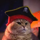 @presidentleet