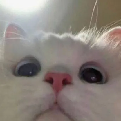 teteska_3