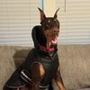 shantithedobie