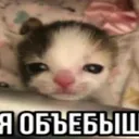 @clslpaodijekwkee