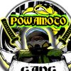powamoto