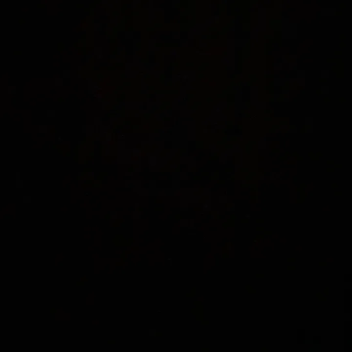 dizzleshinzzle