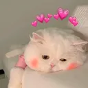@sidraelvas1