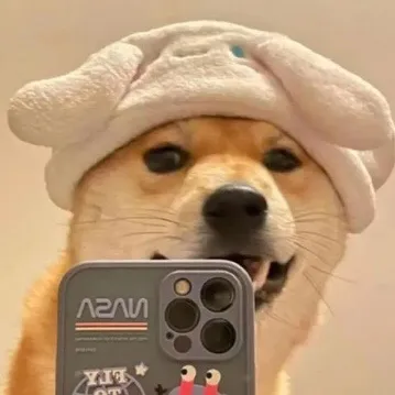 pbbuwxrot7