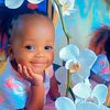 princess.knoller