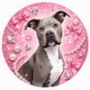 ivy_the_pitty