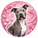 @ivy_the_pitty