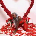 @chinaadollaa2