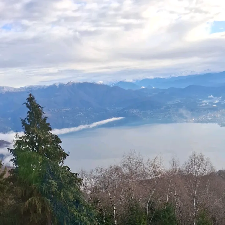 paologrossele