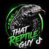 that.reptileguy