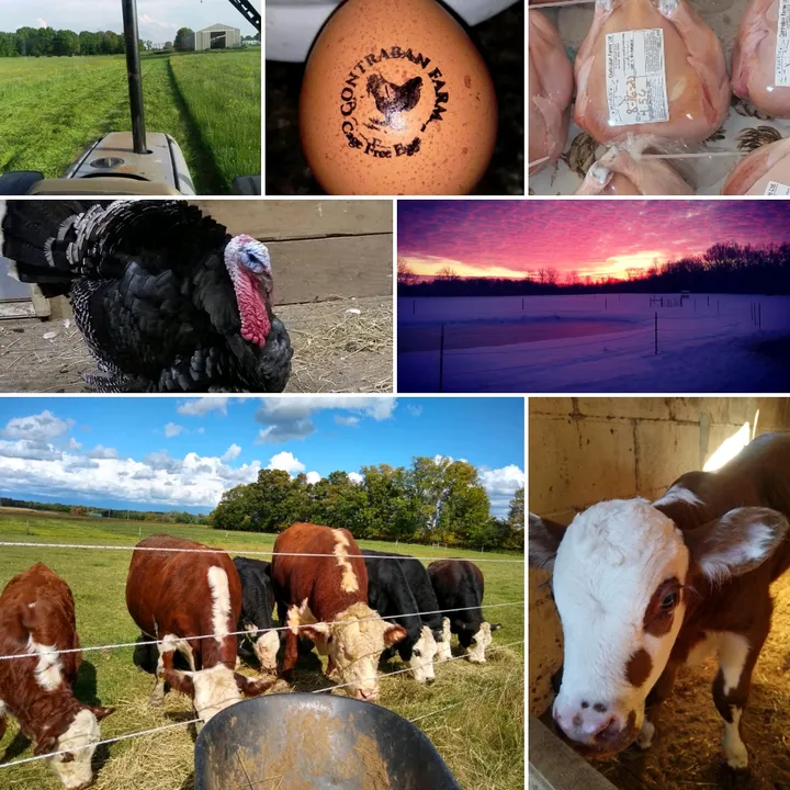 @contrabanfarms