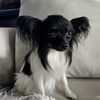 littlelunabean