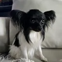 @littlelunabean