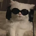@rubejok