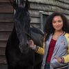 free_reinsthebest