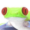 @zeldaflowers3d
