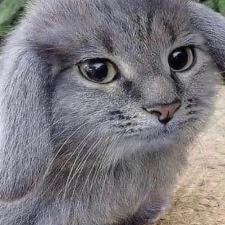 wukaroni