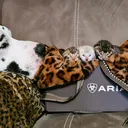 @uniqueprintsbengals