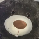 @beetlethestupid