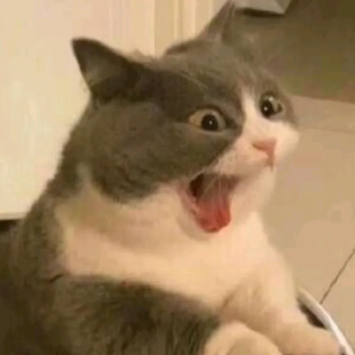 @catsily_