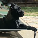 @bos.legacy.corsos