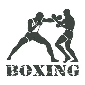 @fighting2772