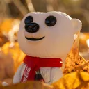 @hidden.pops