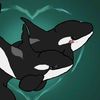 a36orca
