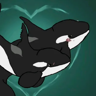 a36orca