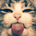 @bertybertramwinkle