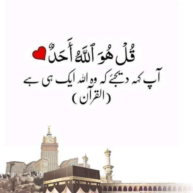 @muzamil12811