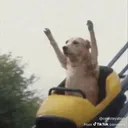 @jimeneztv