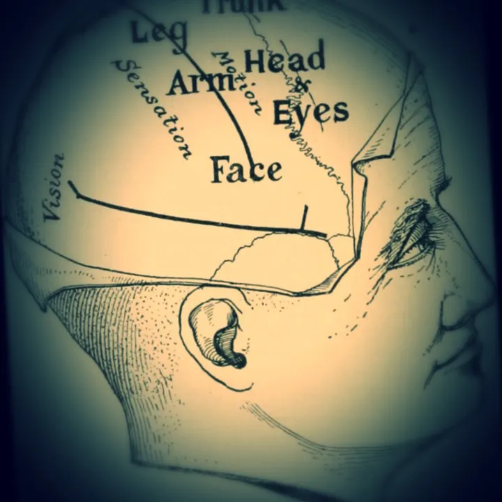 thepsychologybehindit
