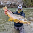 @graziadeifish