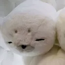 @vis._.gauntlets