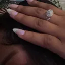 @taylorrdivinee