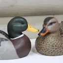 @docsyard