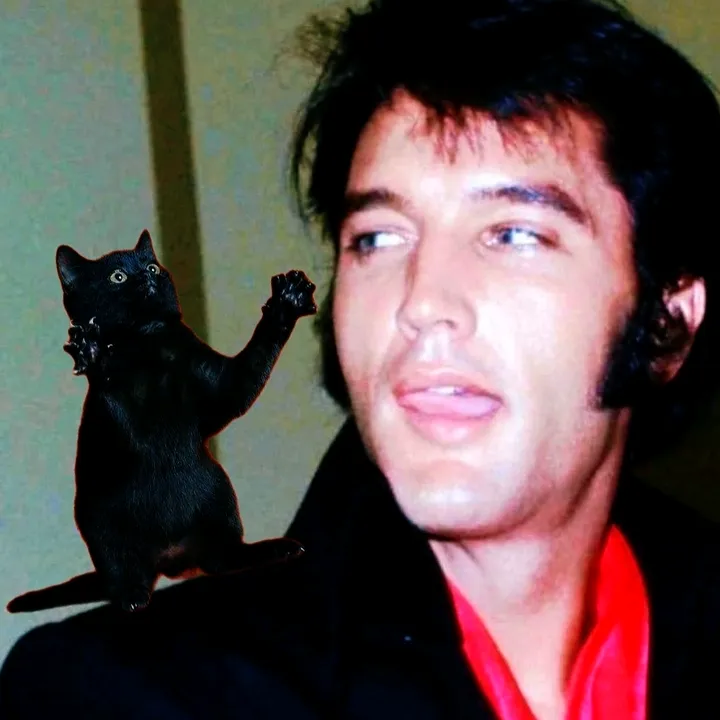 januarypresley