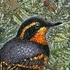 birdnotepodcast
