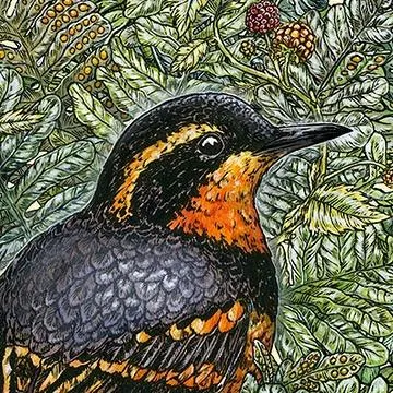 birdnotepodcast