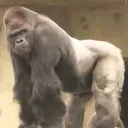 @charlihasnotalentandzoe