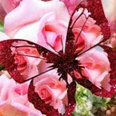 @dyapxs5yo1tt