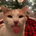 @sl33py7002