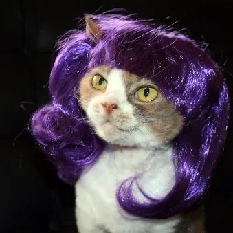 777purplegirl