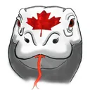 @canadiankomodo