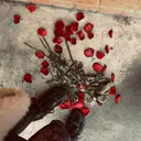 @lirika_mg