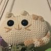 _meow_o_o_