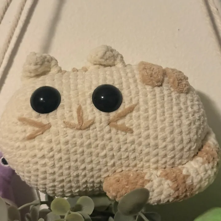 _meow_o_o_