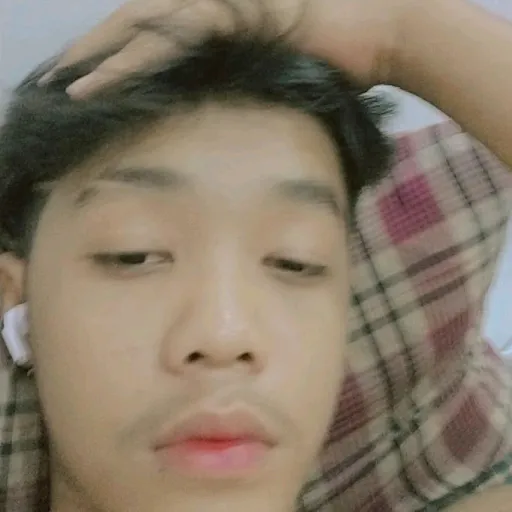heinsatbo