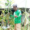 aminsaputra5703